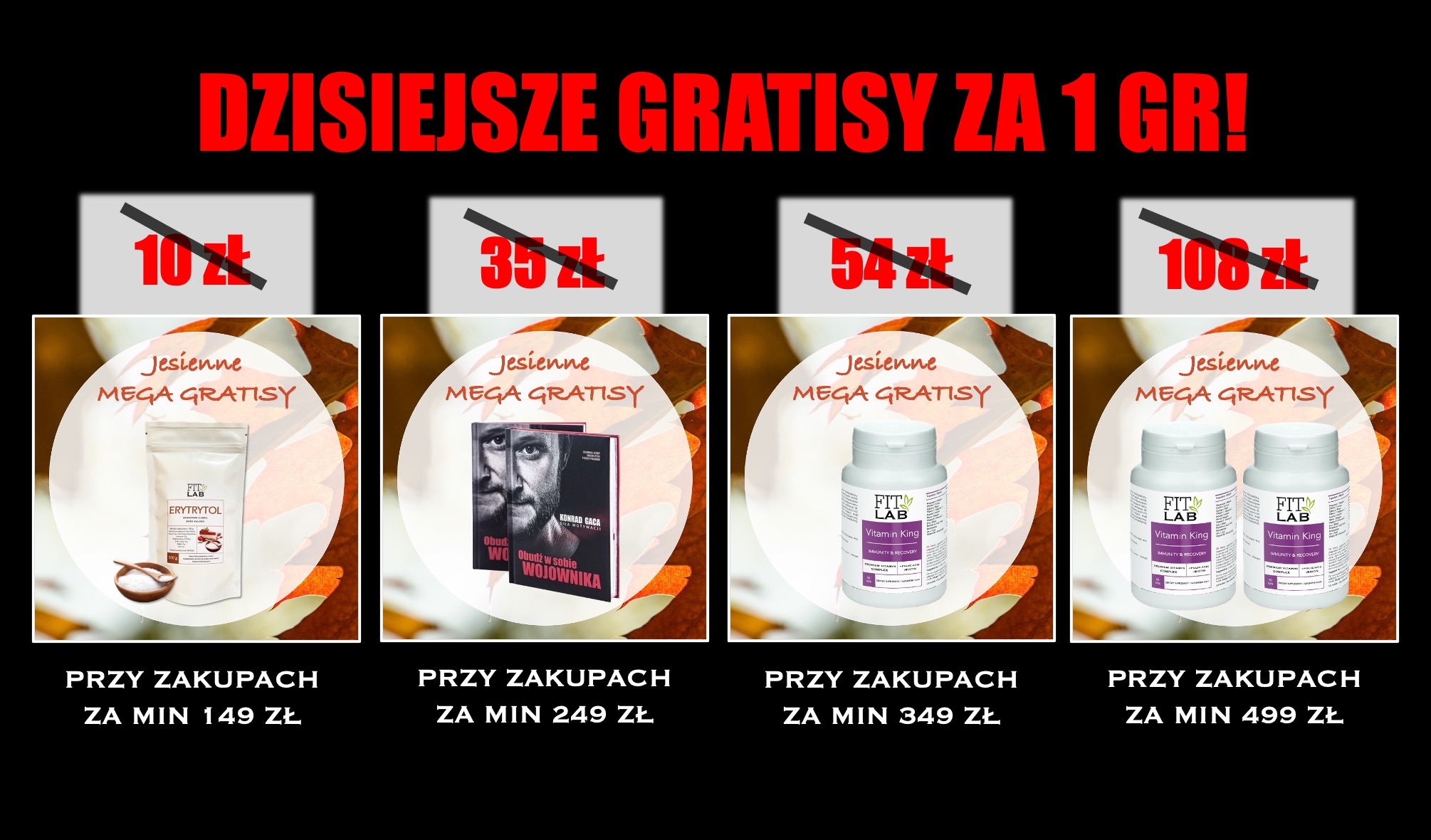 GRATISY JESIEŃ 2024